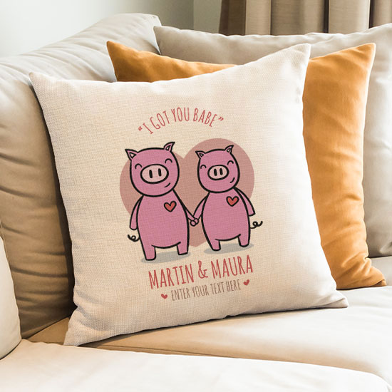 I Got You Babe Cushion