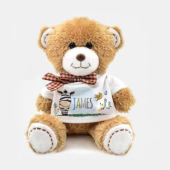 Baby Boy Teddy Bear