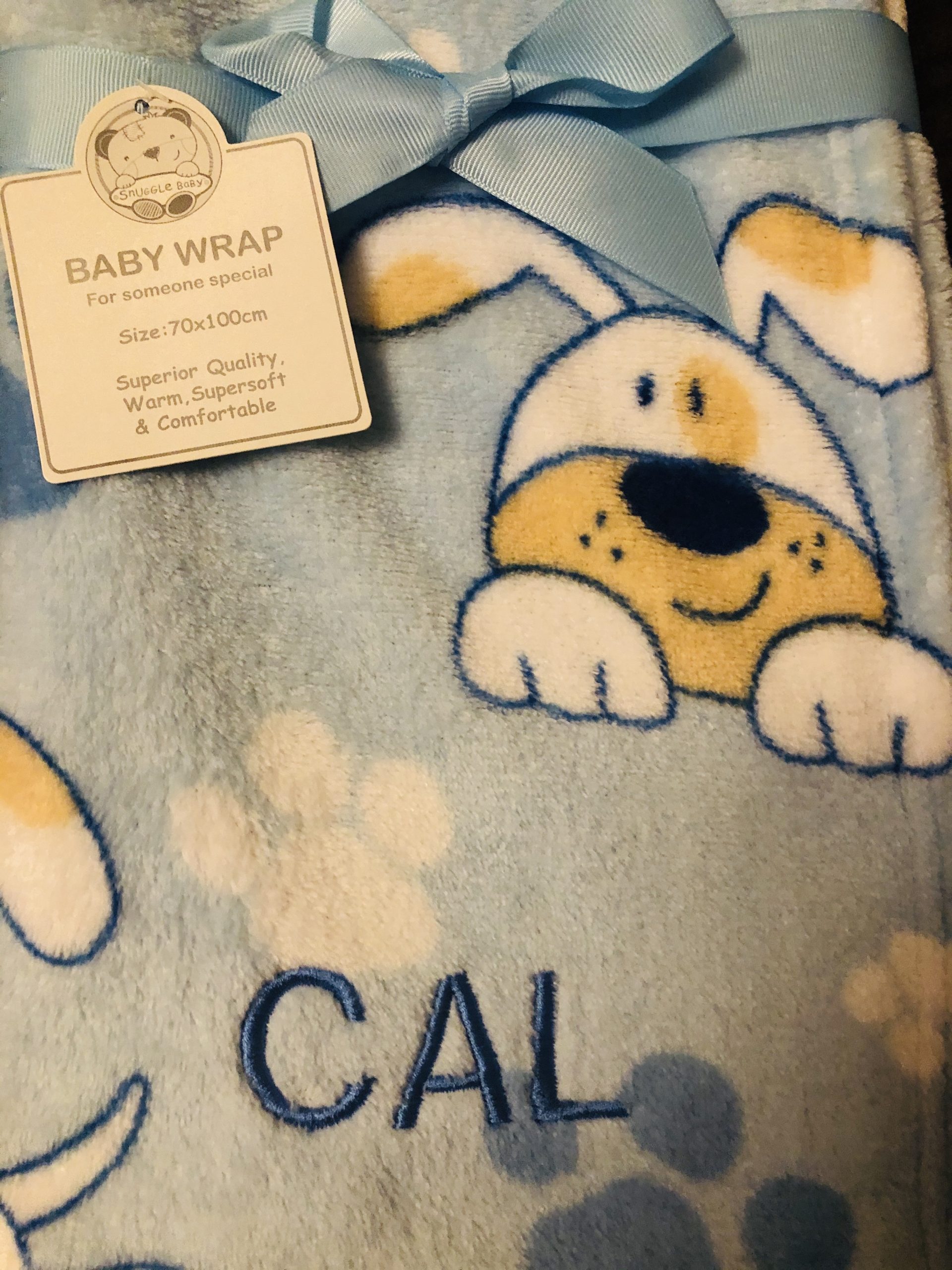 Doggy Baby Boys Printed Wrap Blanket 2