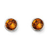 November Stud Earrings