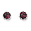 February Birthstone stud earrings