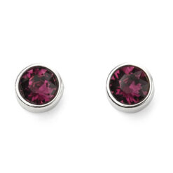 February Birthstone stud earrings