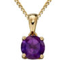 February Birthstone - Amethyst stone set into 9ct yellow gold with chain