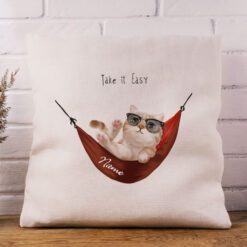 The Take it Easy Cushion