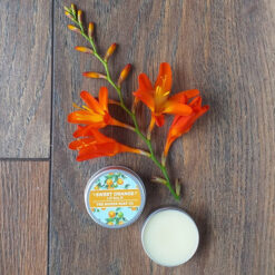 Sweet Orange Natural Lip Balm