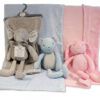 Pink or Blue Blanket with Teddy Gift Set