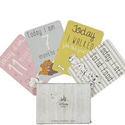 Disney Baby 30 Milestone Cards