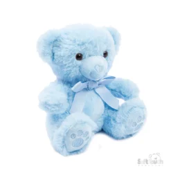 Blue Teddy Bear Paws Small Teddy