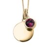 February Gold Plated Birthstone and Engravable Disc Necklace