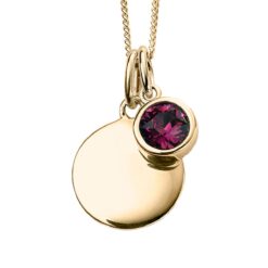 February Gold Plated Birthstone and Engravable Disc Necklace