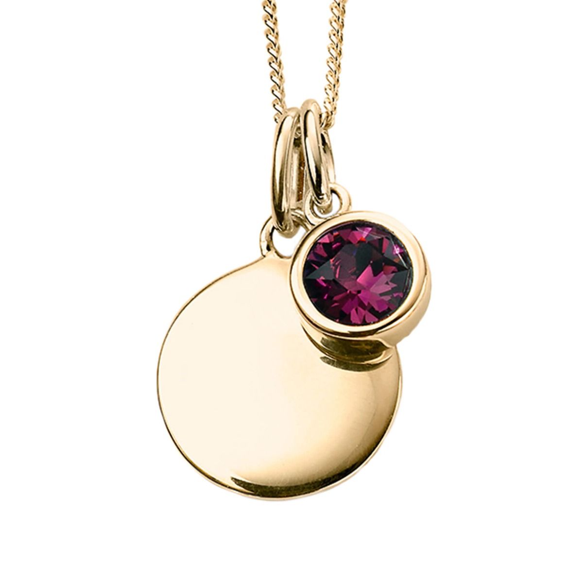 February Gold Plated Birthstone and Engravable Disc Necklace