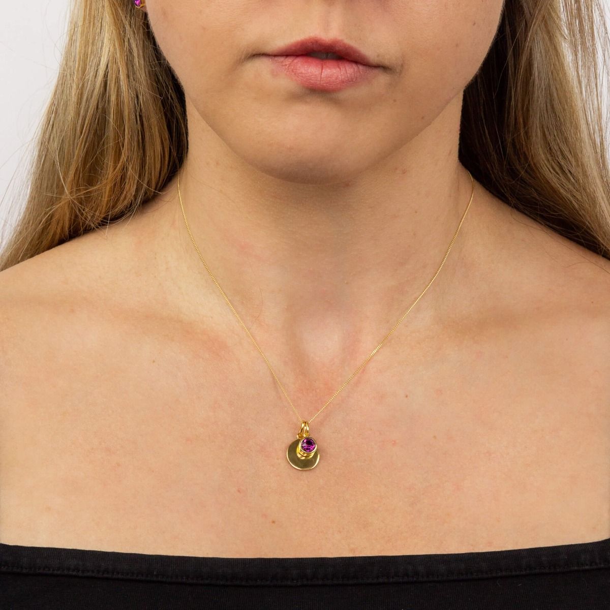 February Gold Plated Birthstone and Engravable Disc Necklace2