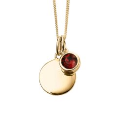January Gold Plated Birthstone and Engravable Disc Necklace