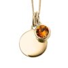 November Gold Plated Birthstone and Engravable Disc Necklace