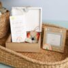 Baby Scan Rainbow Gift Set