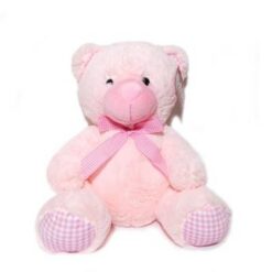Baby Girl Teddy 35cm