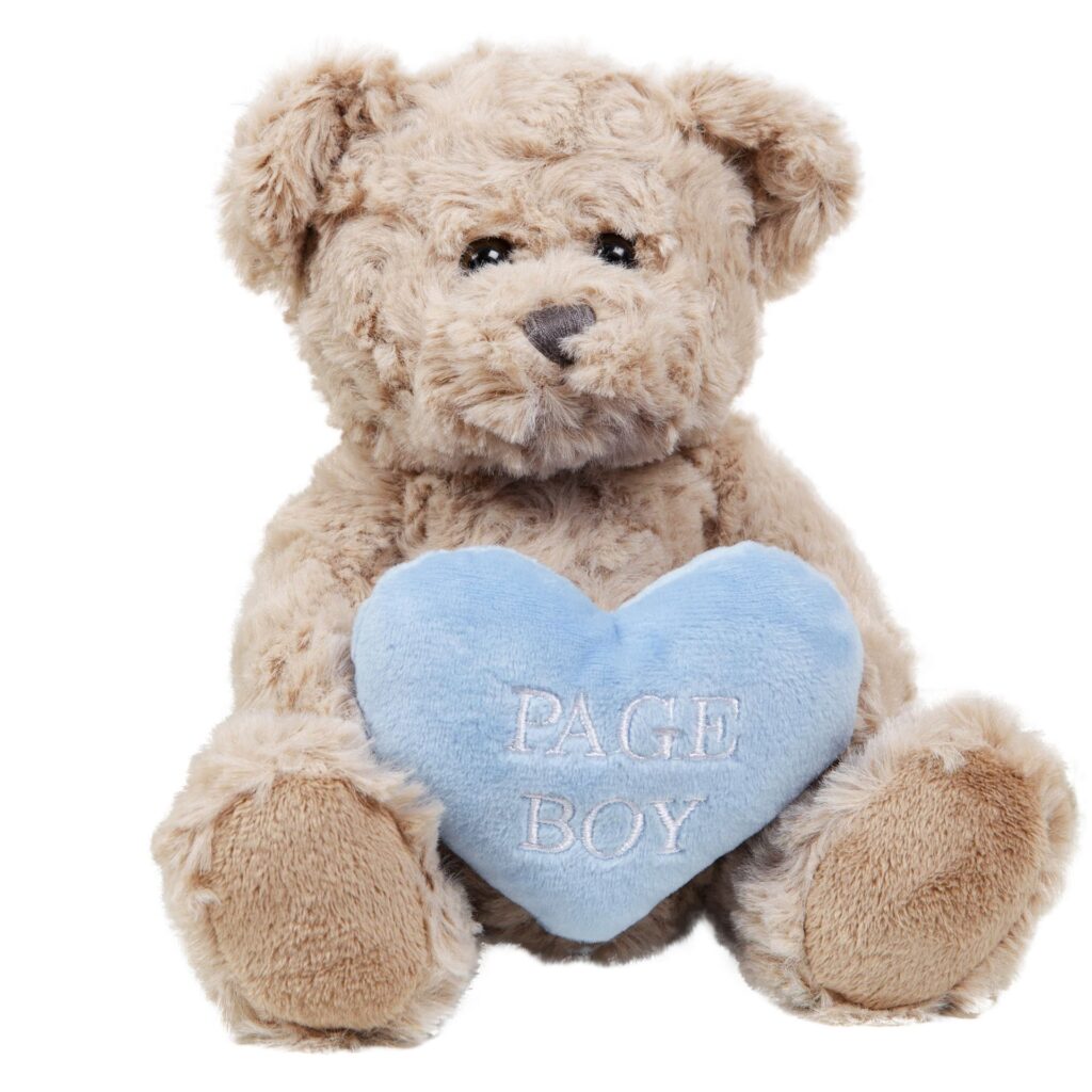 Will You Be Our Page Boy Teddy Bear Page Boy Gift Ideas