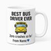 Best Bus Driver Ever - Zero Crashes So Far
