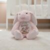 Personalised Baby Bunny Teddy - Pink2